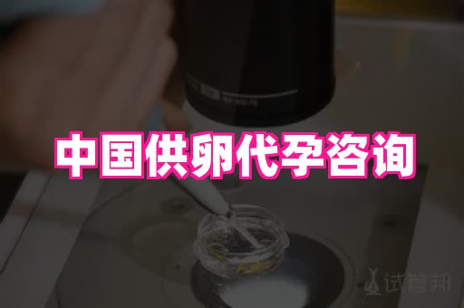 杭州助孕网站 2